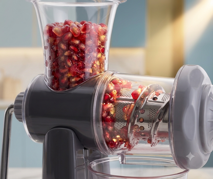 Automatic Fruit Slow Press Juicer